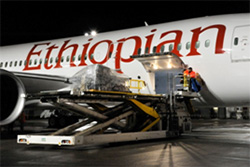 Ethiopian Airlines 787 Dreamliner Humanitarian Flight 250